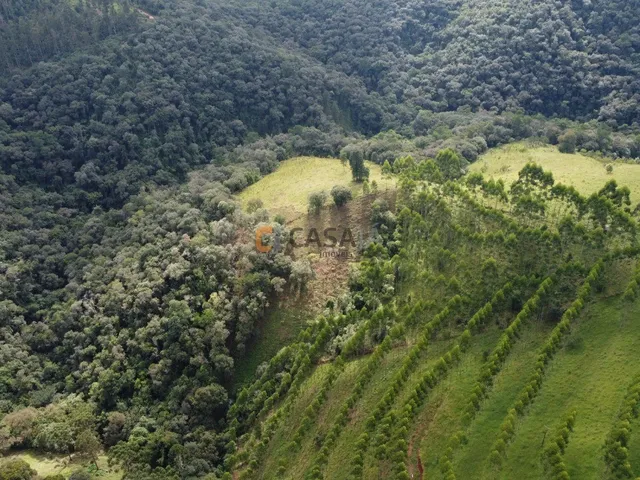 Imagem 9: FAZENDA RURAL em Campo Largo - PR, Estrado do Cerne