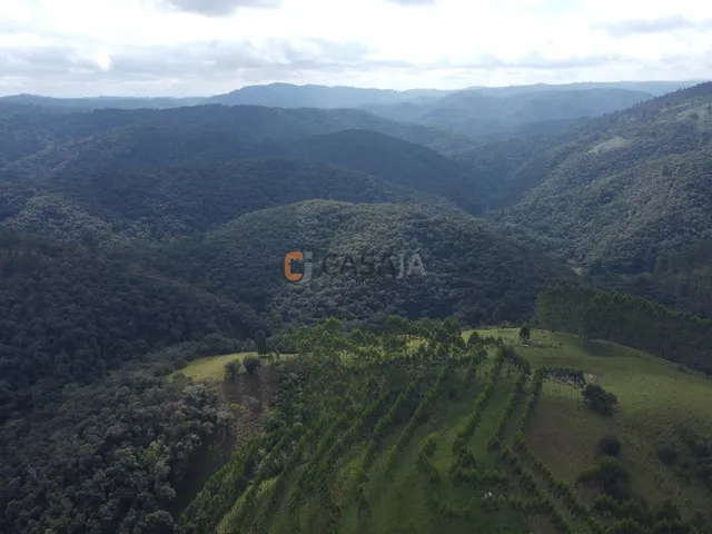 Imagem 4: FAZENDA RURAL em Campo Largo - PR, Estrado do Cerne