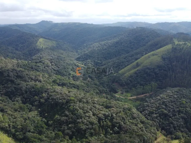 Imagem 13: FAZENDA RURAL em Campo Largo - PR, Estrado do Cerne