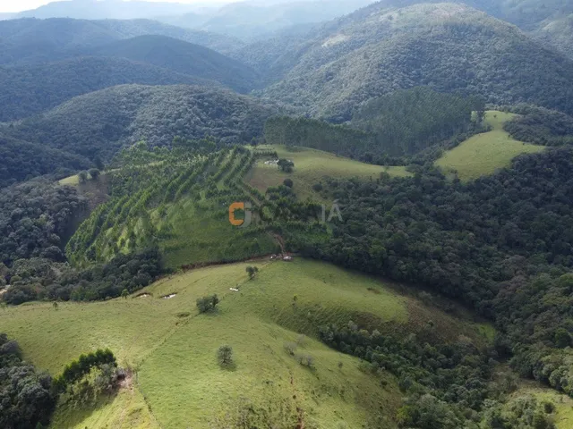 Imagem 6: FAZENDA RURAL em Campo Largo - PR, Estrado do Cerne