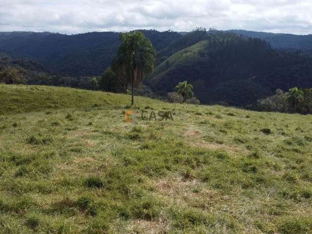 Imagem 15: FAZENDA RURAL em Campo Largo - PR, Estrado do Cerne