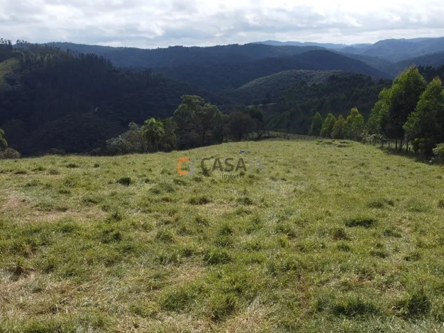 Imagem 16: FAZENDA RURAL em Campo Largo - PR, Estrado do Cerne