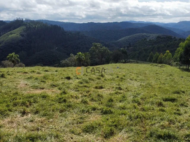 Imagem 2: FAZENDA RURAL em Campo Largo - PR, Estrado do Cerne