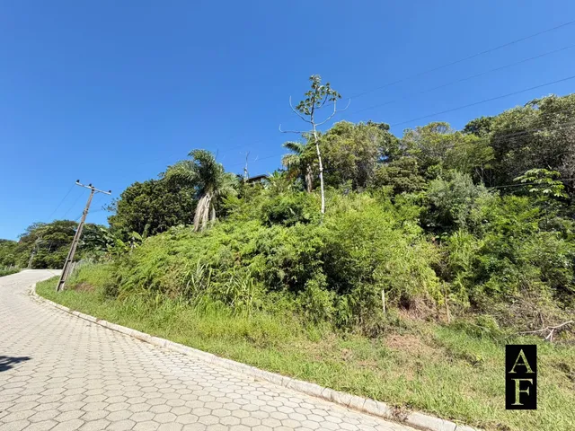 Imagem 10: Terreno em Garopaba