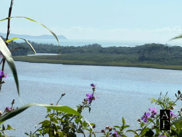 Imagem 9: Terreno em Garopaba