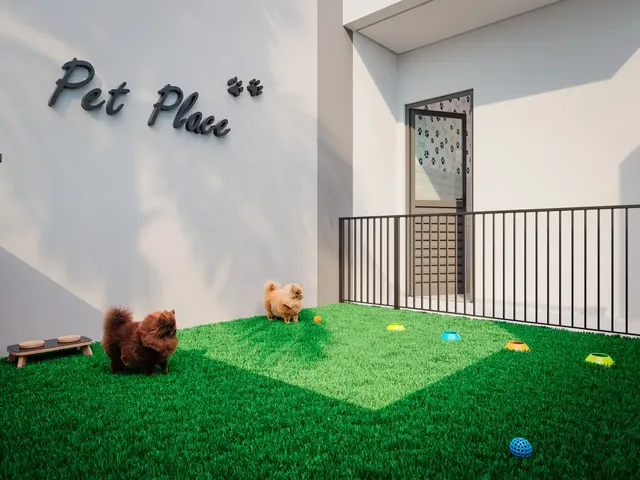Imagem 4: Infinity Living Apartamento com 2 dormitórios
