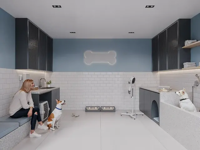 Imagem 7: Akoya Colina Apartamento com 3 dormitórios