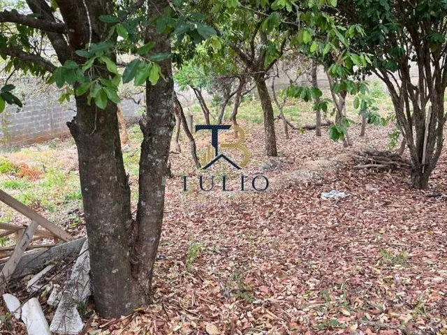 Imagem: Excelente lote 405m² - Plano Murado no