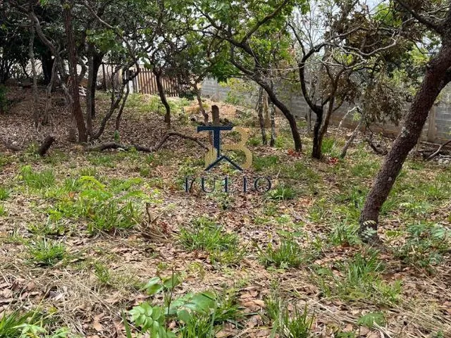 Imagem 5: Excelente lote 405m² - Plano Murado no fundo e Lateral -Bairro Joá - Lagoa Santa