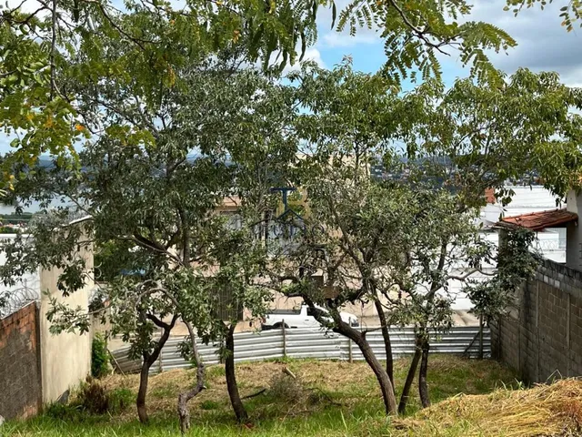 Imagem 6: Excelente Lote 395m² em aclive - Murados nas duas laterais - Bairro Joá -Lagoa Santa