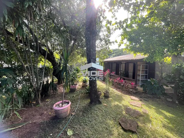 Imagem 13: Chacara Á Venda Condominio Xangrilá Area Verde com Pomar