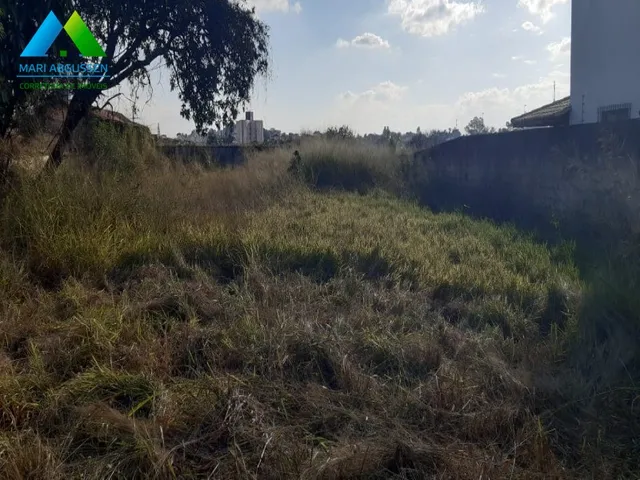 Imagem 3: ESPETACULAR LOTE PLANO, 1000M², LOCALIÇÃO BOA, BAIRRO SÃO LUIZ, PRÓXIMO AO DOM