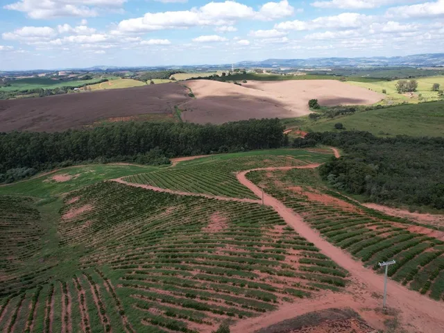 Imagem: Fazenda à venda em Careaçu-MG 2 quartos