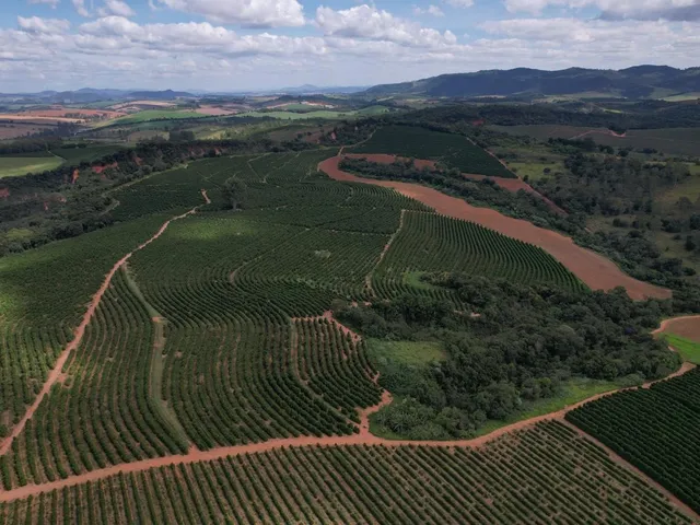 Imagem 12: Fazenda à venda em Careaçu-MG: 2 quartos, 1 banheiro, 2 vagas de garagem e 1.260.000,00