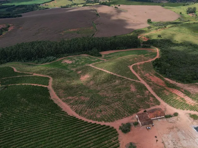 Imagem 7: Fazenda à venda em Careaçu-MG: 2 quartos, 1 banheiro, 2 vagas de garagem e 1.260.000,00