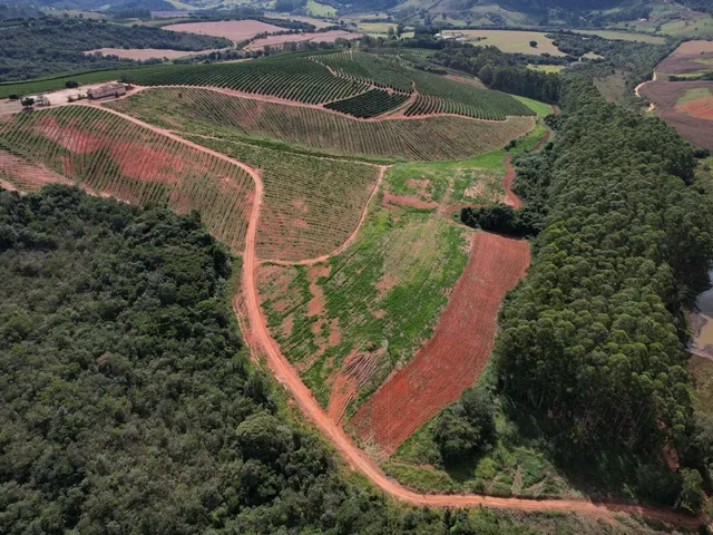 Imagem 16: Fazenda à venda em Careaçu-MG: 2 quartos, 1 banheiro, 2 vagas de garagem e 1.260.000,00