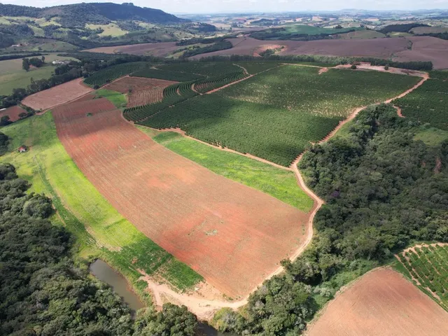 Imagem 14: Fazenda à venda em Careaçu-MG: 2 quartos, 1 banheiro, 2 vagas de garagem e 1.260.000,00