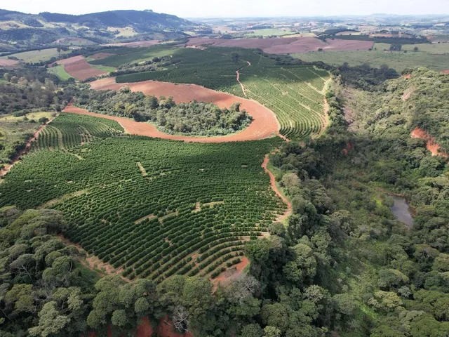 Imagem 11: Fazenda à venda em Careaçu-MG: 2 quartos, 1 banheiro, 2 vagas de garagem e 1.260.000,00