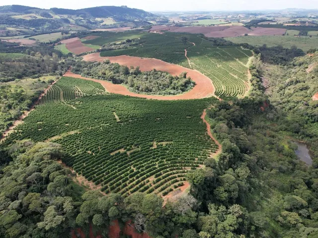 Imagem 2: Fazenda à venda em Careaçu-MG: 2 quartos, 1 banheiro, 2 vagas de garagem e 1.260.000,00