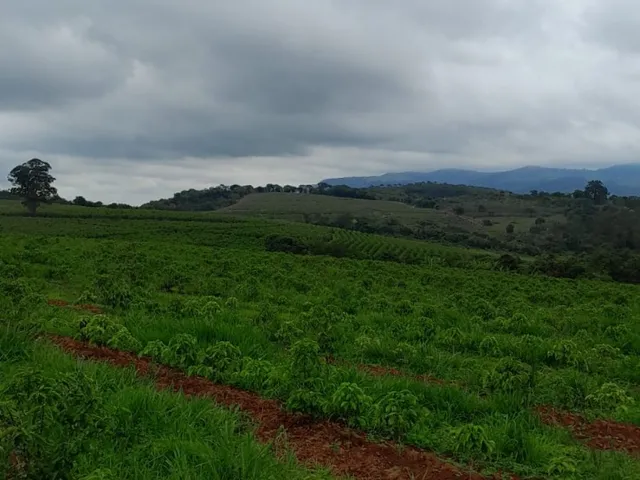 Imagem 3: Fazenda à venda em Careaçu-MG: 2 quartos, 1 banheiro, 2 vagas de garagem e 1.260.000,00