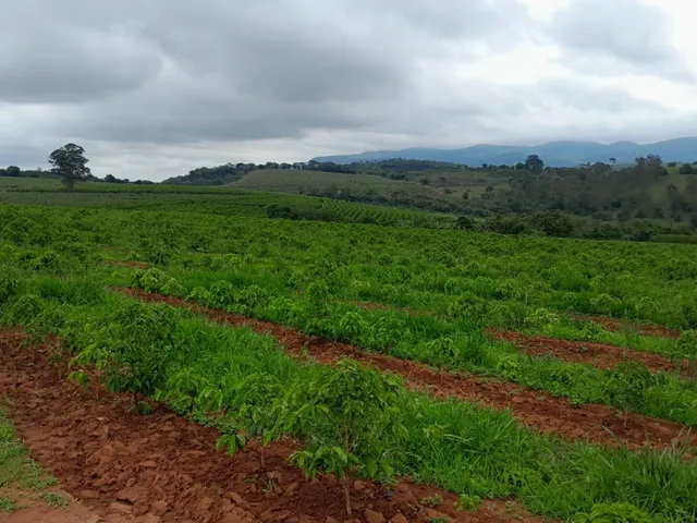 Imagem 6: Fazenda à venda em Careaçu-MG: 2 quartos, 1 banheiro, 2 vagas de garagem e 1.260.000,00