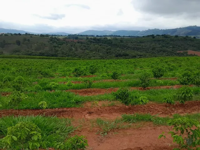Imagem 8: Fazenda à venda em Careaçu-MG: 2 quartos, 1 banheiro, 2 vagas de garagem e 1.260.000,00