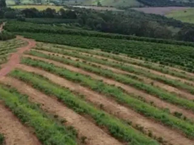 Imagem 10: Fazenda à venda em Careaçu-MG: 2 quartos, 1 banheiro, 2 vagas de garagem e 1.260.000,00