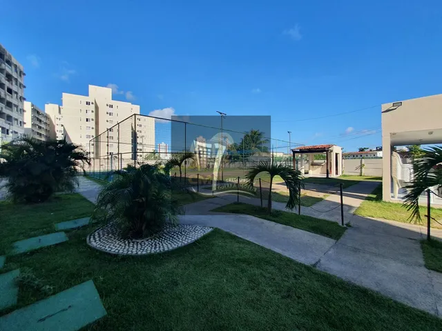Imagem 4: Apartamento com 2 dormitórios