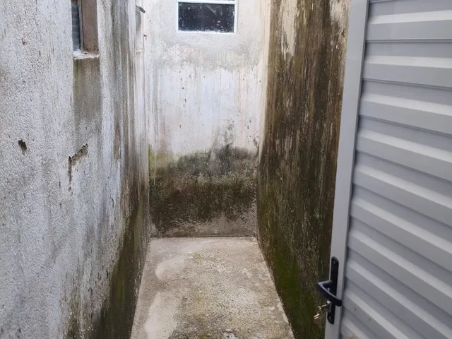 Imagem 11: GALPAO COMERCIAL | EUSÉBIO