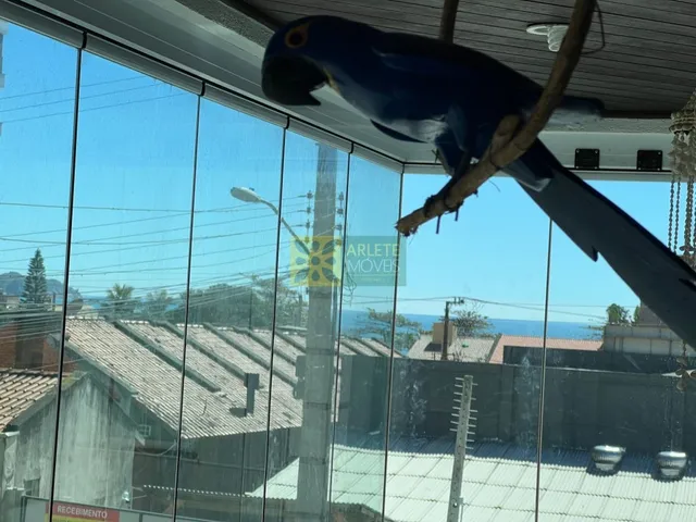 Imagem 11: Apartamento - Bombinhas SC
