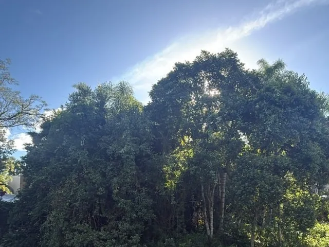 Imagem: Terreno - Bombinhas SC