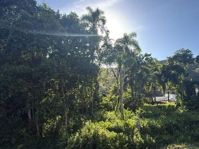 Imagem 5: Terreno - Bombinhas SC