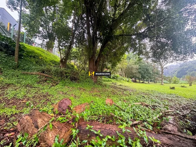 Imagem 7: Locação de Terreno na Rua Aubé - 3.000m² em Ponto Estratégico de Joinville