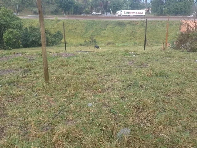 Imagem: Loteamento Completo em Vale da Prata, Ribeirão