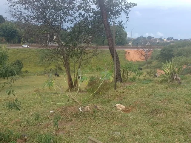 Imagem 4: Loteamento Completo em Vale da Prata, Ribeirão das Neves/MG