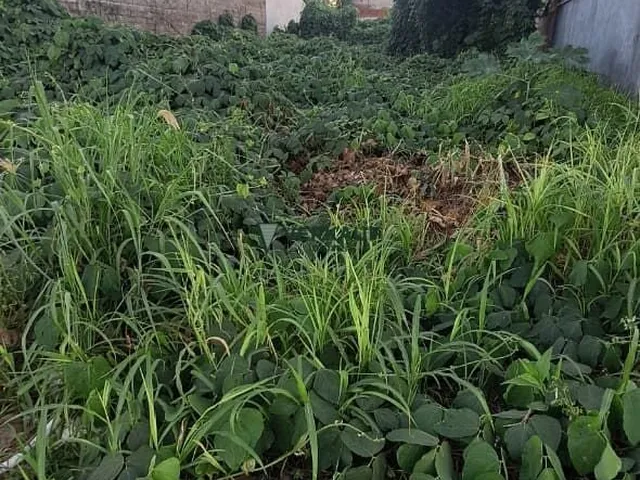 Imagem 3: Terreno - 360m² Res Vereda dos Buritis- Goiânia/Go