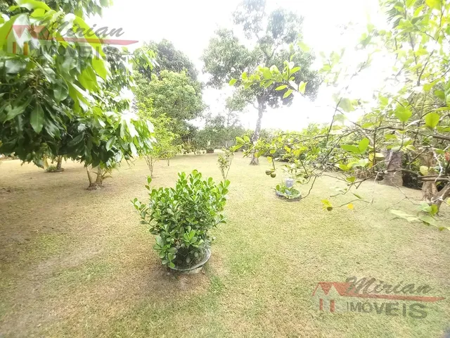 Imagem 14: 0 Chácara com 3 dormitórios