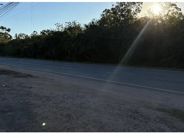 Imagem 3: PGPDPG 1330 Lote 610441018-15 - PGPDPG 1330 Lote 610441018-15