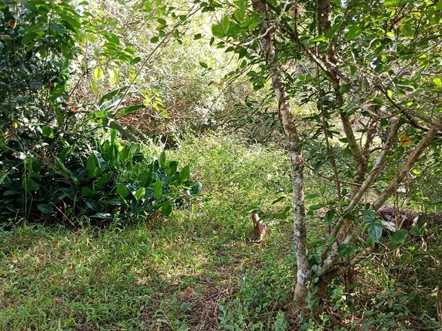 Imagem 13: FAZENDA - Porto Alegre