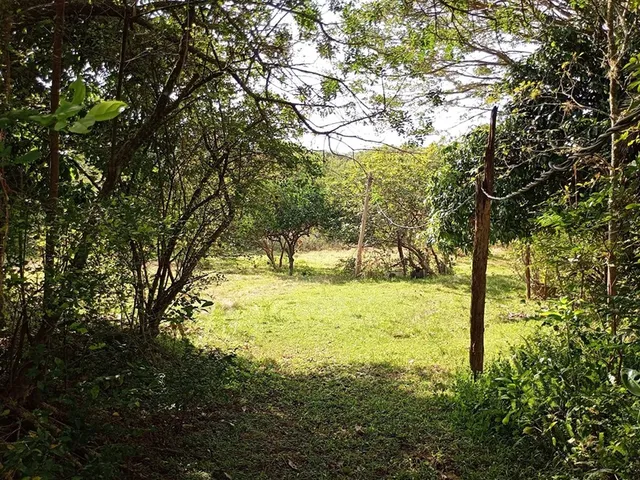 Imagem 11: FAZENDA - Porto Alegre