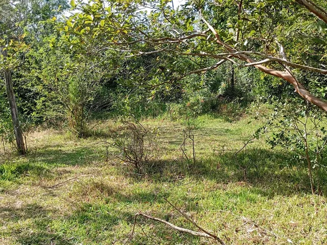 Imagem 5: FAZENDA - Porto Alegre