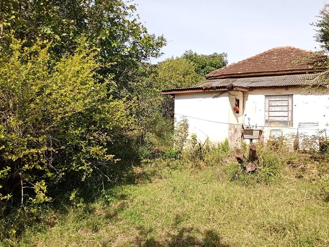 Imagem 4: FAZENDA - Porto Alegre