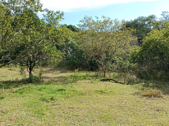 Imagem 12: FAZENDA - Porto Alegre