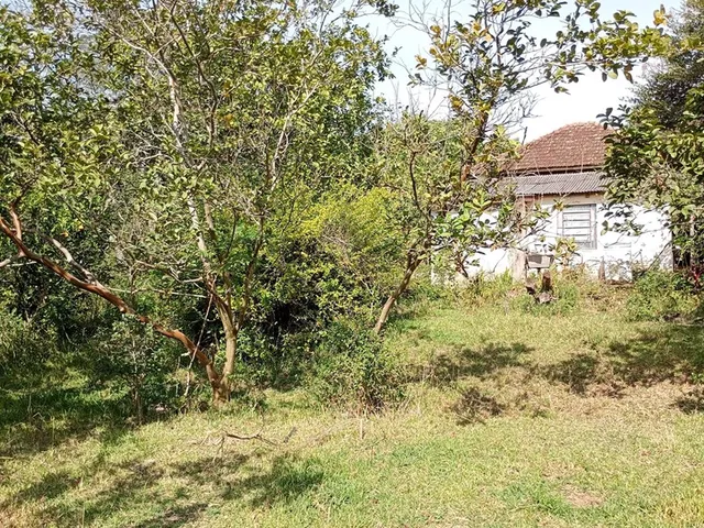 Imagem 16: FAZENDA - Porto Alegre
