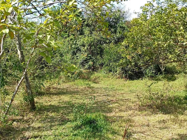 Imagem 10: FAZENDA - Porto Alegre