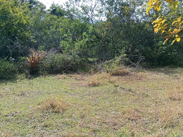 Imagem 6: FAZENDA - Porto Alegre
