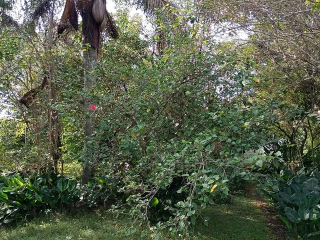 Imagem 14: FAZENDA - Porto Alegre
