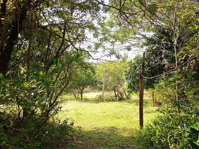 Imagem 15: FAZENDA - Porto Alegre