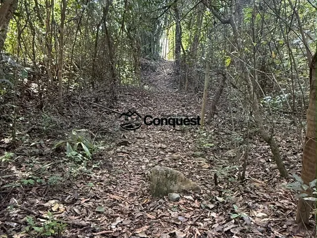 Imagem 3: CHÁCARA À VENDA EM VARJÃO – PITANGUI/MG 1.800 m² Fundo para o Rio Pará