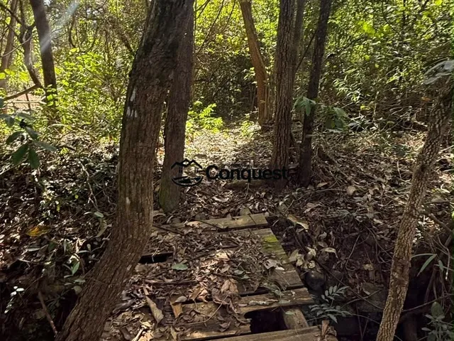 Imagem 12: CHÁCARA À VENDA EM VARJÃO – PITANGUI/MG 1.800 m² Fundo para o Rio Pará